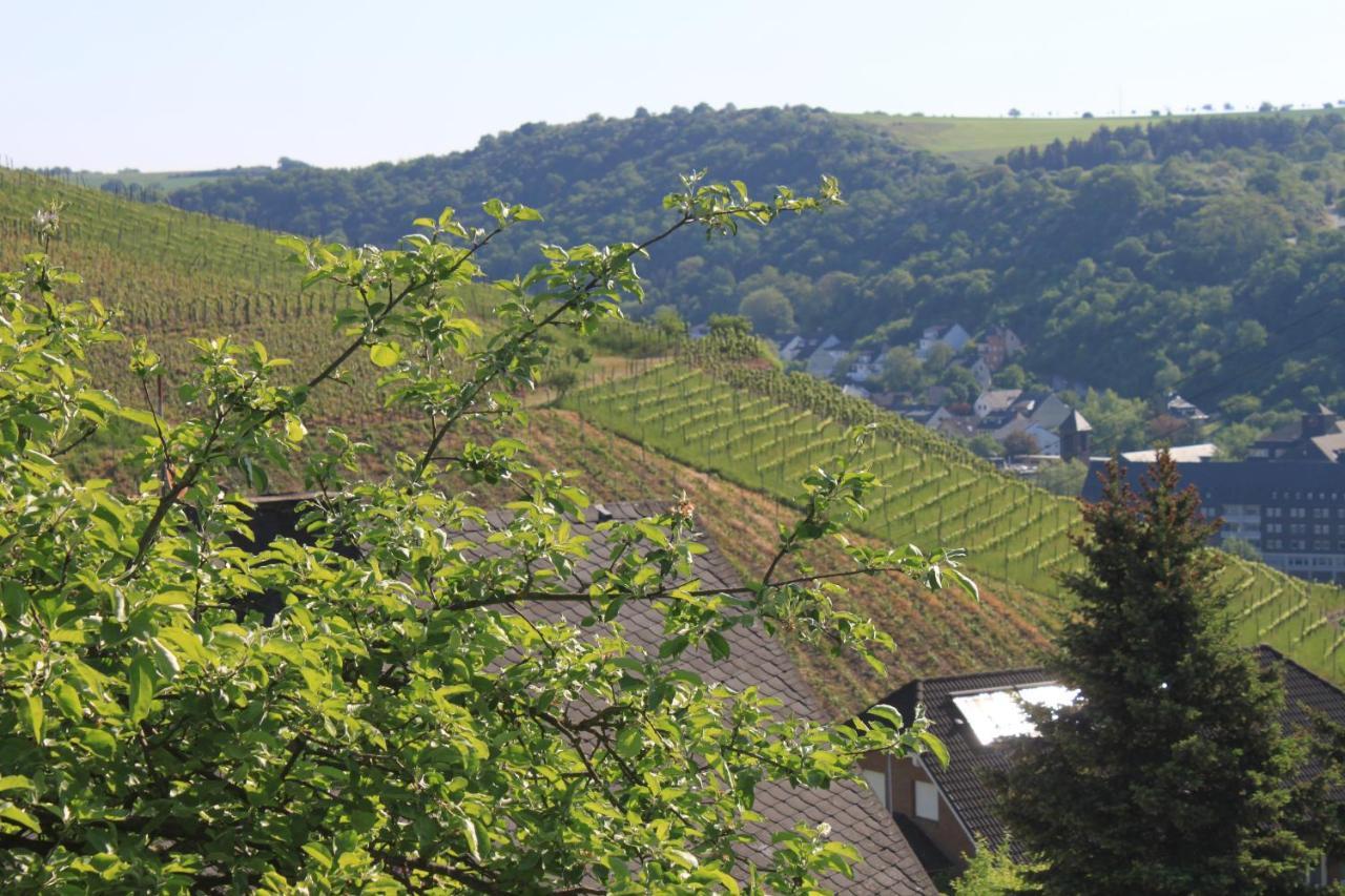 Ferienwohnung Klosterberg Lehmen エクステリア 写真